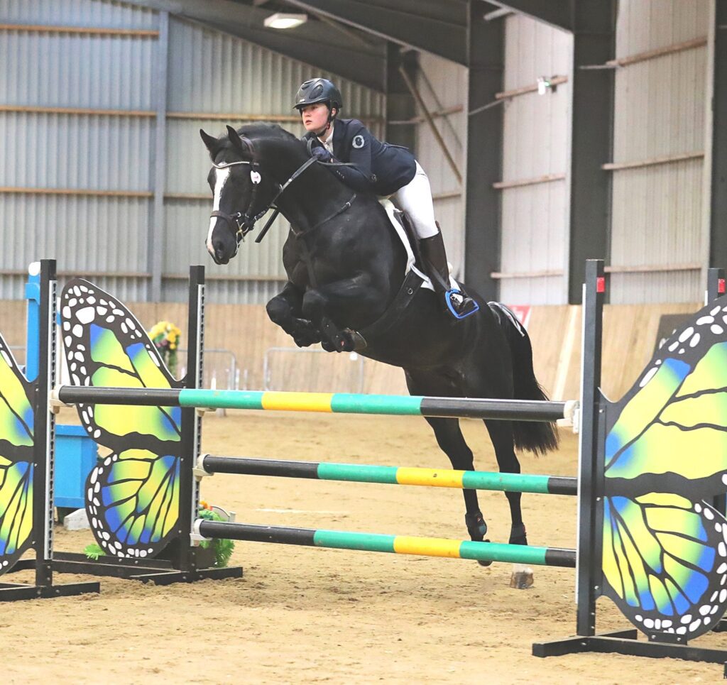 Rare KWPN Black Rabicano stallion available at stud Horses 4 Your